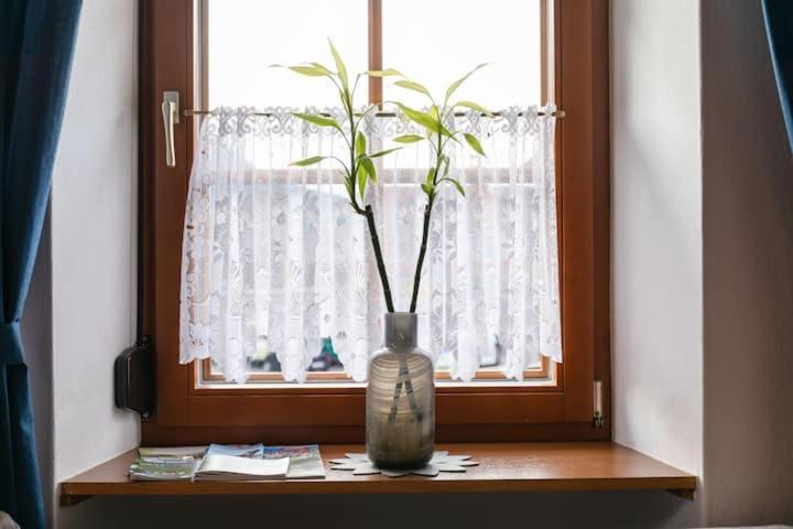 Vanek Apartment Kotschach-Mauthen Exteriér fotografie